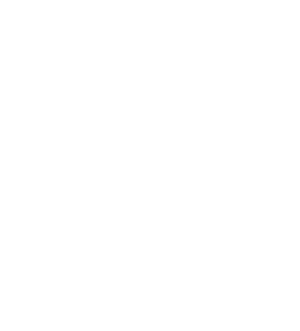 The PiPP Partnership