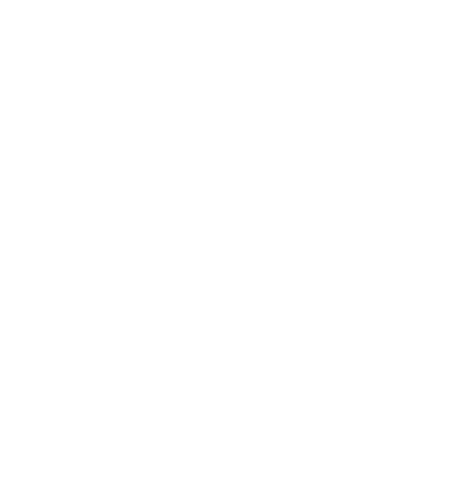 The PiPP Partnership
